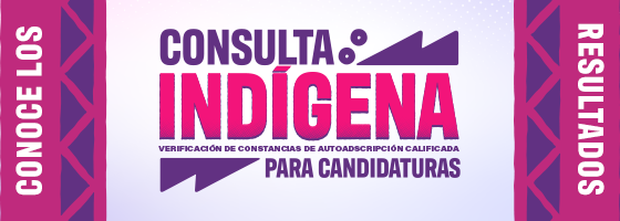 Consulta Indígena 2026